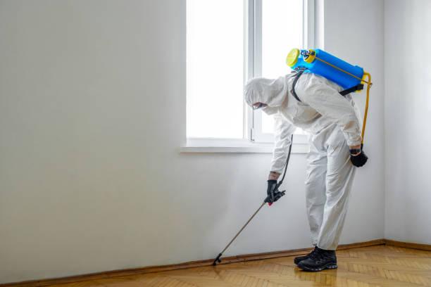 Best Emergency Pest Control  in Imlay City, MI