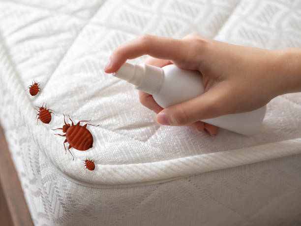 Best Pest Inspection Near Me  in Imlay City, MI