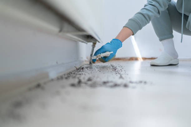 Best Best Pest Control Companies  in Imlay City, MI