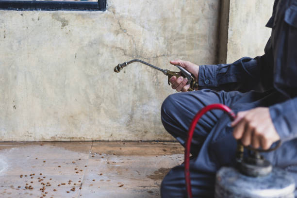 Best Best Pest Control Companies  in Imlay City, MI